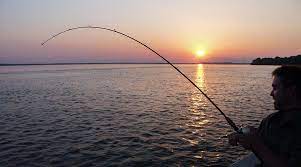 Union welcomes Kuwaitis to practice fishing profession